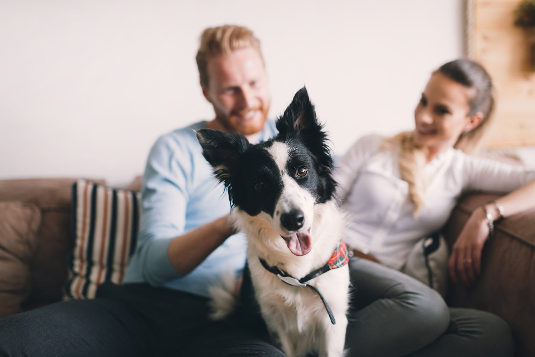 Man and woman sitting on couch in apartment petting their dog