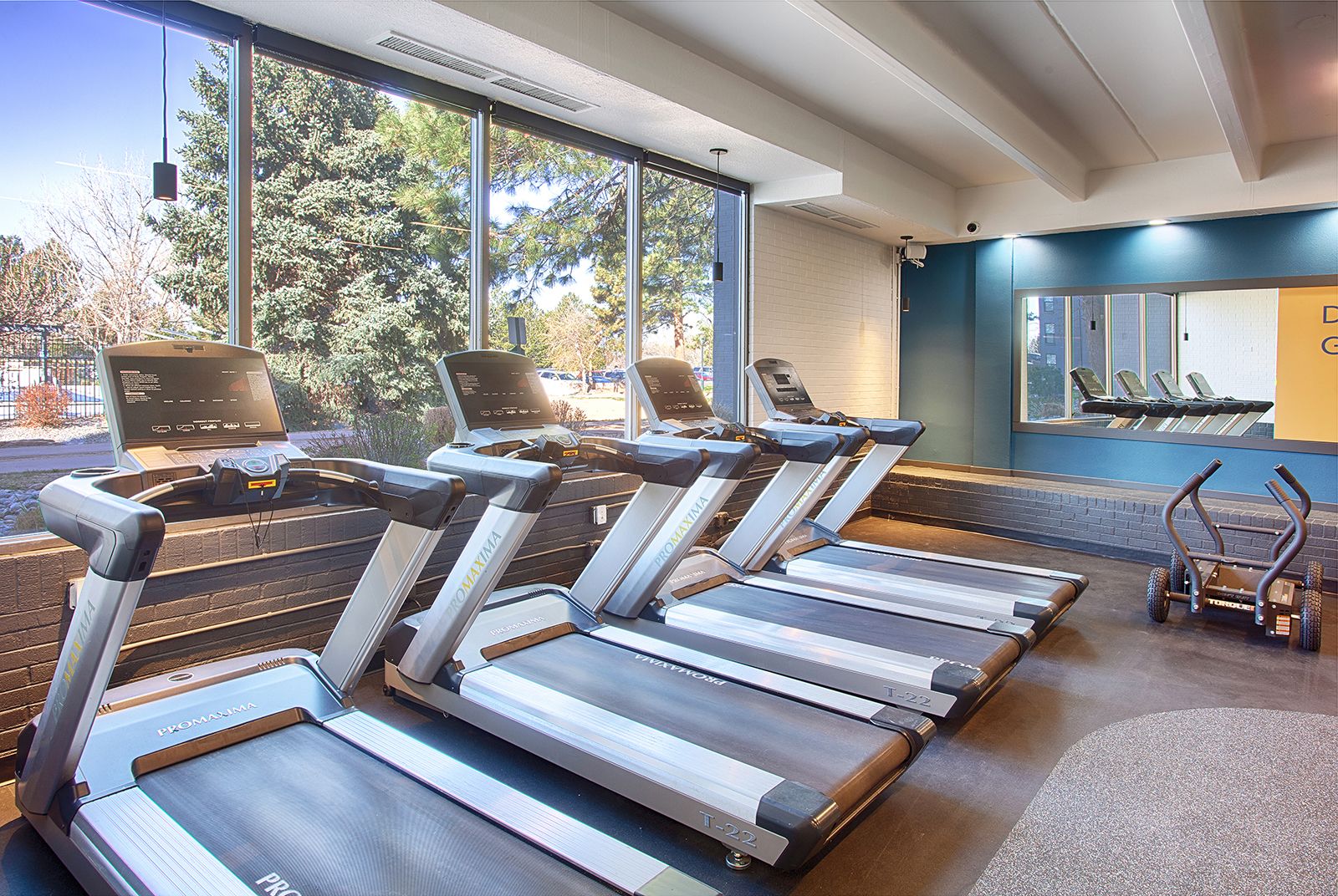 a row of treadmills with screens in a fitness center in front of windows